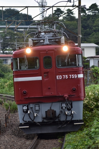 JR東日本 国鉄ED75形電気機関車 ED75-759 鉄道フォト・写真 by 京葉市原さん 杉田駅 (福島県)：2022年08月31日11時ごろ