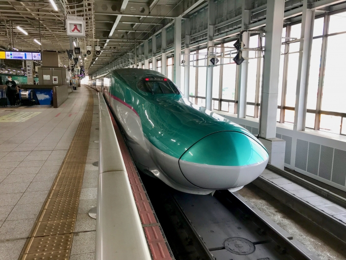 JR東日本 E5系新幹線電車 鉄道フォト・写真 by ちゃいのかべさん 仙台駅 (JR)：2022年08月11日06時ごろ