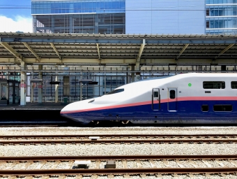 JR東日本 E444形(Tpsc) Maxとき(新幹線) E444-26 鉄道フォト・写真 by ちゃいのかべさん 高崎駅 (JR)：2020年08月12日11時ごろ