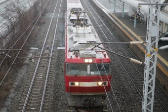 JR貨物 EH500形 EH500-46 鉄道フォト・写真 by 一般人よりは電車好きな人さん 九州工大前駅：2023年02月18日14時ごろ