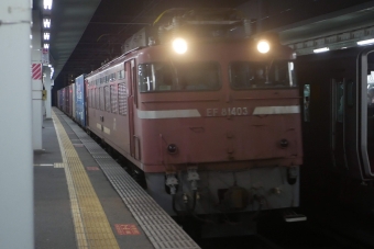 JR貨物 EF81 EF81 403 鉄道フォト・写真 by 一般人よりは電車好きな人さん 吉塚駅：2023年02月19日22時ごろ