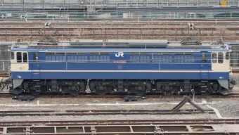 JR西日本 国鉄EF65形電気機関車 EF65 2083 鉄道フォト・写真 by 一般人よりは電車好きな人さん 梅小路京都西駅：2023年03月13日13時ごろ