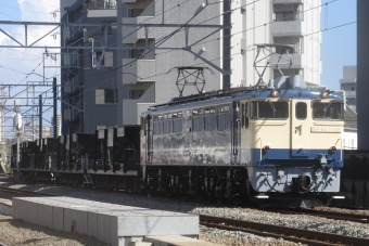 JR東日本 国鉄EF65形電気機関車 EF65-1102 鉄道フォト・写真 by くりはしさん 八丁畷駅 (JR)：2023年08月18日14時ごろ