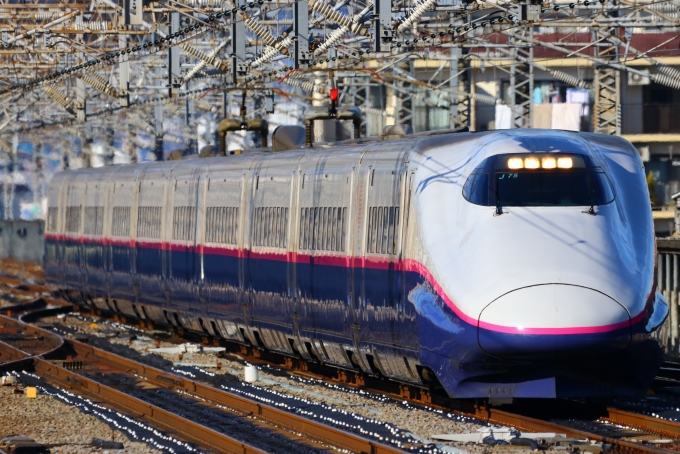 JR東日本 E2系新幹線 とき(新幹線) 鉄道フォト・写真 by どるふくさん 高崎駅 (JR)：2020年02月02日14時ごろ