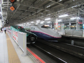 JR東日本 E5系新幹線電車 やまびこ(新幹線) 鉄道フォト・写真 by Massaさん 仙台駅 (JR)：2022年09月11日19時ごろ