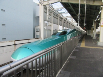 JR東日本 E523形(T1c) なすの(新幹線) E523-14 鉄道フォト・写真 by Massaさん 郡山駅 (福島県)：2023年01月29日15時ごろ