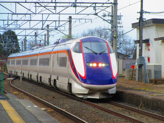 JR東日本 E3系新幹線電車 つばさ E311-1004 関根駅 鉄道フォト・写真