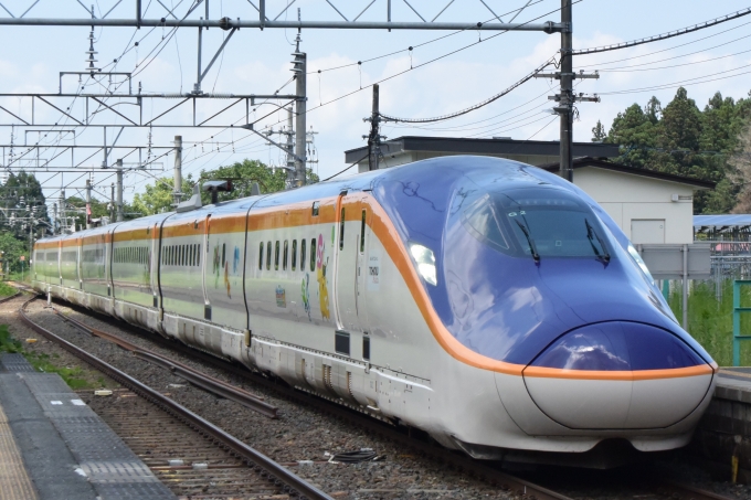 鉄道フォト・写真：JR東日本 E8系新幹線電車 つばさ E811-2 関根駅 鉄道フォト・写真 by Massaさん - 撮影日 2024/07/22 11:45