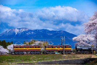 三岐鉄道ED45形電気機関車 鉄道フォト・写真 by amiさん ：2014年04月05日08時ごろ