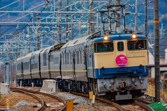 JR西日本 EF65 1000番台 EF65 1135 鉄道フォト・写真 by amiさん ：2014年02月06日10時ごろ