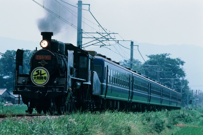 鉄道フォト・写真：JR西日本 国鉄C56形蒸気機関車 SL C56 160 不詳 鉄道フォト・写真 by amiさん - 撮影日 1986/07/27 00:00