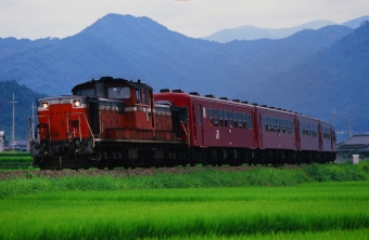 JR西日本 DD51 鉄道フォト・写真 by amiさん 寺前駅：1988年08月13日00時ごろ