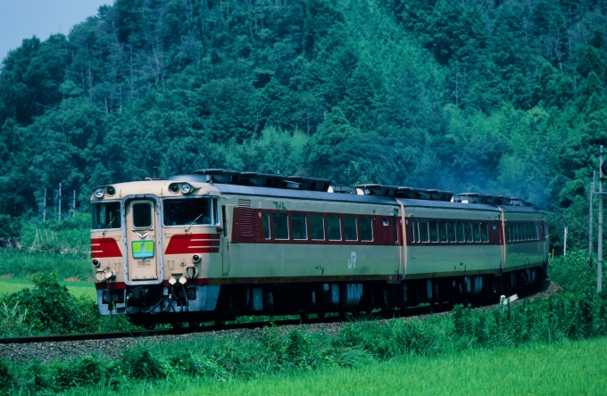 鉄道フォト・写真：JR東海 キハ82系 南紀 JR多気駅 鉄道フォト・写真 by amiさん - 撮影日 1987/08/12 00:00