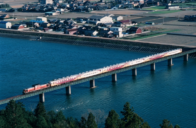 鉄道フォト・写真：JR東海 国鉄DD51形ディーゼル機関車 多気駅 鉄道フォト・写真 by amiさん - 撮影日 1993/01/01 00:00