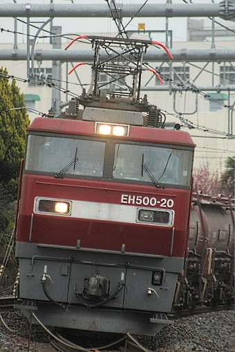 JR貨物 EH500形電気機関車 安中貨物 キンタロー。 鉄道フォト・写真 by とんぬらさん ：2023年03月12日16時ごろ