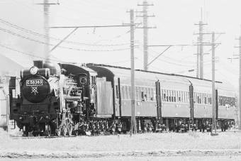 秩父鉄道 C58形蒸気機関車 SLパレオエクスプレス C58 363 鉄道フォト・写真 by とんぬらさん ：2024年04月13日10時ごろ