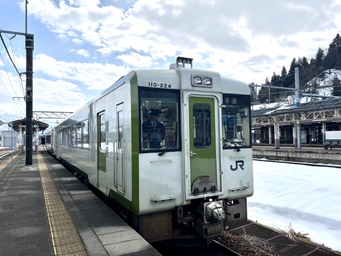 JR東日本 キハ110形 キハ110-224 鉄道フォト・写真 by ハラユカ。さん 小出駅：2024年02月14日12時ごろ
