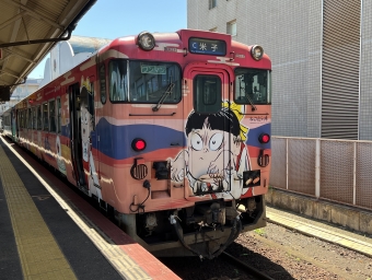 JR西日本 キハ40形 ねこ娘列車 キハ40 2095 鉄道フォト・写真 by ハラユカ。さん 米子駅：2024年05月29日13時ごろ