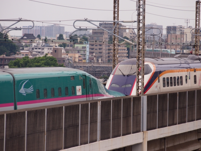 JR東日本 E311形(M1sc) なすの(新幹線) E311-2004 鉄道フォト・写真 by HayaKomaさん 王子駅 (JR)：2024年05月19日07時ごろ