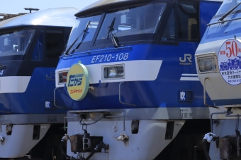 JR貨物 EF210形 EF210-108 鉄道フォト・写真 by 小田急沿線民とペンギンさん 流通センター駅：2023年05月05日10時ごろ