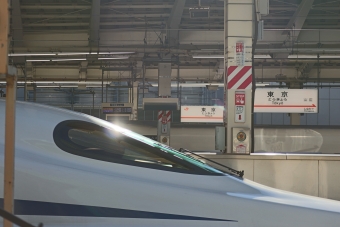 JR東海 N700S新幹線電車 鉄道フォト・写真 by 小田急沿線民とペンギンさん 東京駅 (JR)：2023年10月16日07時ごろ