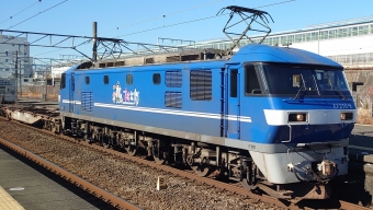 JR貨物 EF210形 EF210-9 鉄道フォト・写真 by えちぜんさん 三島駅 (JR)：2022年01月16日11時ごろ