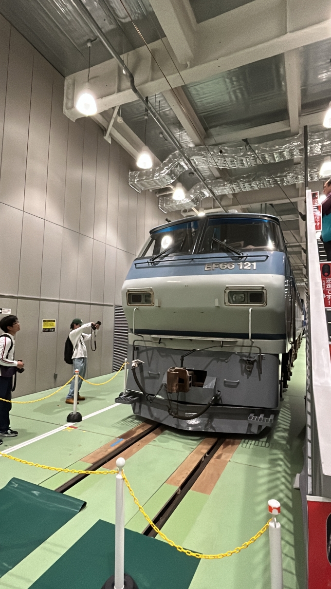 鉄道フォト・写真：JR貨物  サメ EF66 121 京都鉄道博物館、駅ではないですが。 鉄道フォト・写真 by 鋼鉄さん - 撮影日 2023/10/19 10:41