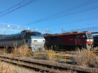 JR貨物 EH500形 EH500-9 鉄道フォト・写真 by スイさん 新川崎駅：2022年12月26日10時ごろ