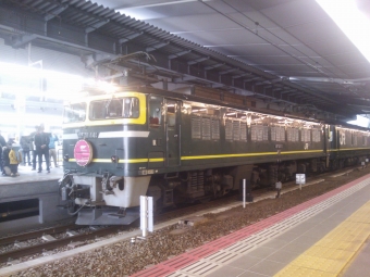 JR西日本 国鉄EF81形電気機関車 EF81-44 鉄道フォト・写真 by シータさん 大阪駅：2014年01月25日11時ごろ