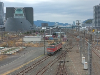 JR貨物 EF510形 EF510-20 鉄道フォト・写真 by シータさん 東静岡駅：2024年03月07日13時ごろ
