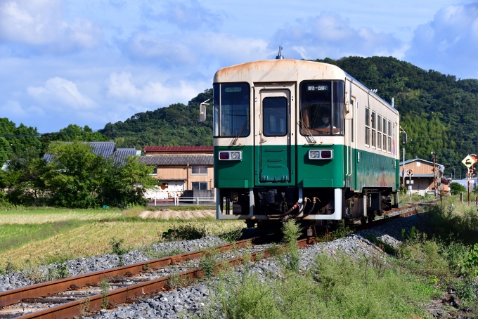 紀州鉄道 KR300形 KR301 鉄道フォト・写真 by 大荷主さん ：2022年09月21日08時ごろ