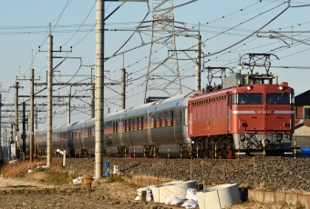 JR東日本 国鉄EF81形電気機関車 EF81-81 鉄道フォト・写真 by セイルさん 東鷲宮駅：2023年02月27日16時ごろ
