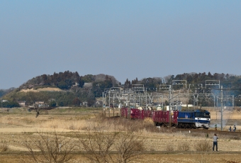 JR貨物EF210形電気機関車 EF210-329 鉄道フォト・写真 by セイルさん 物井駅：2023年03月04日14時ごろ