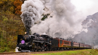 蒸気機関車・SL(エスエル) 鉄道フォト・写真