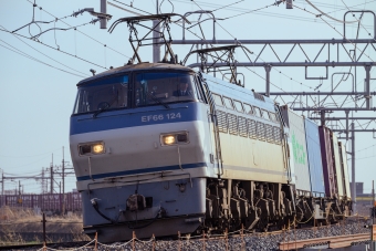 JR貨物 国鉄EF66形電気機関車 EF66-124 鉄道フォト・写真 by セイルさん 東鷲宮駅：2024年03月30日15時ごろ