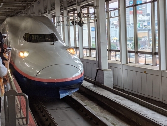 JR東日本 E4系新幹線 鉄道フォト・写真 by HakutakaM7さん 仙台駅 (JR)：2021年10月09日12時ごろ