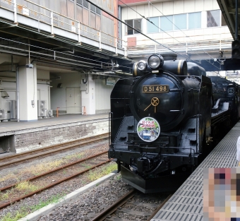 JR東日本 国鉄D51形蒸気機関車 SLぐんま よこかわ(快速) 鉄道フォト・写真 by ライトな鉄道好きさん 高崎駅 (JR)：2022年08月20日09時ごろ