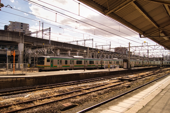 JR東日本E231系電車 鉄道フォト・写真 by ライトな鉄道好きさん 高崎駅 (JR)：2023年02月20日09時ごろ