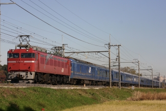 JR東日本 国鉄EF81形電気機関車 EF81 96 鉄道フォト・写真 by Maoairさん 蓮田駅：2006年12月04日09時ごろ