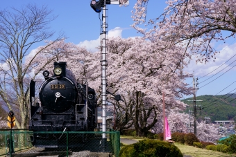 国鉄D51形蒸気機関車 鉄道フォト・写真 by tchsさん 伊那新町駅：2021年04月07日14時ごろ