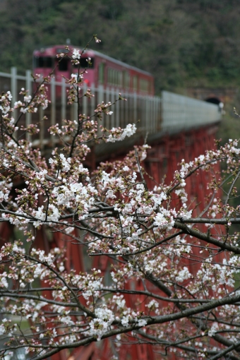 JR西日本 鉄道フォト・写真 by かつお51号さん 餘部駅：2007年03月31日13時ごろ