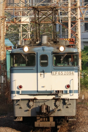 JR貨物 国鉄EF65形電気機関車 EF65-2094 鉄道フォト・写真 by なかがわさん 小田栄駅：2021年04月08日16時ごろ