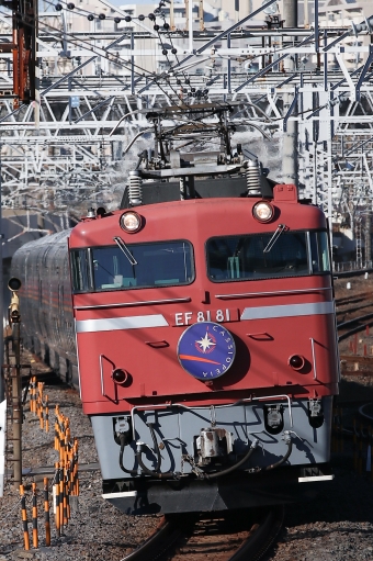 JR東日本 国鉄EF81形電気機関車 カシオペア紀行(特急) EF81-81 鉄道フォト・写真 by なかがわさん 金町駅：2023年02月26日08時ごろ