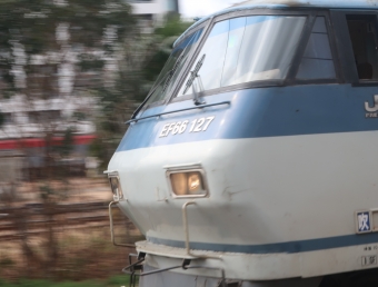JR貨物 国鉄EF66形電気機関車 EF66 鉄道フォト・写真 by すかせんさん 新川崎駅：2023年02月19日13時ごろ
