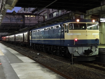 JR東日本 国鉄EF65形電気機関車 鉄道フォト・写真 by 踏切番のおぢさん 高崎駅 (JR)：2021年11月28日16時ごろ