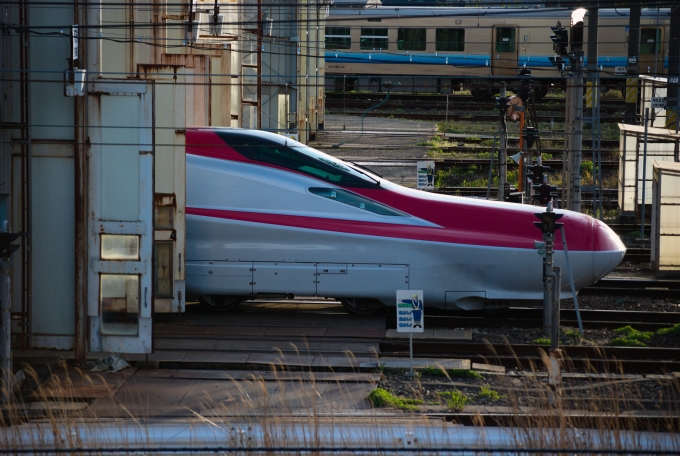 JR東日本 E611形(M1sc) E611-18 鉄道フォト・写真 by skylinebnr334さん 秋田駅：2024年04月21日17時ごろ