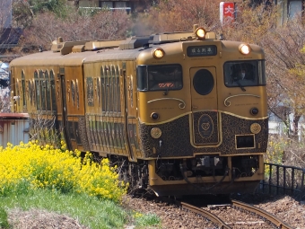 JR九州 キロシ47形 JRKYUSHU SWEET TRAIN「或る列車」(特急) キロシ47 3505 鉄道フォト・写真 by CRAZYさん ：2023年03月31日14時ごろ