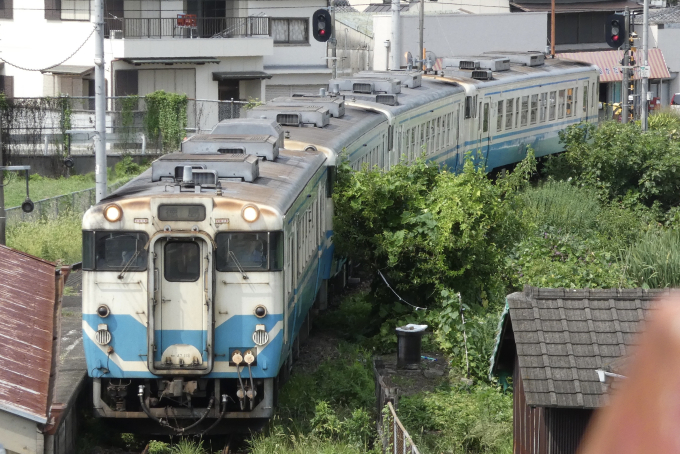 鳴門線 鉄道フォト・画像(鉄道写真) | レイルラボ(RailLab)
