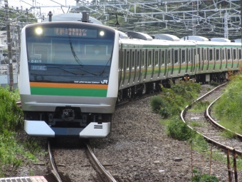 JR東日本E233系電車 鉄道フォト・写真 by 咲咲CHさん 真鶴駅：2023年08月23日15時ごろ