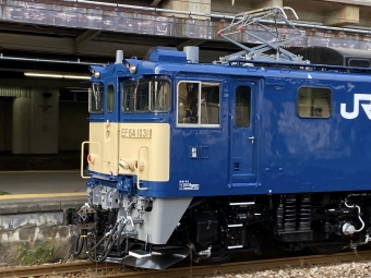 JR東日本 国鉄EF64形電気機関車 EF64-1031 鉄道フォト・写真 by E653Hakutakaさん 長岡駅：2023年12月14日14時ごろ